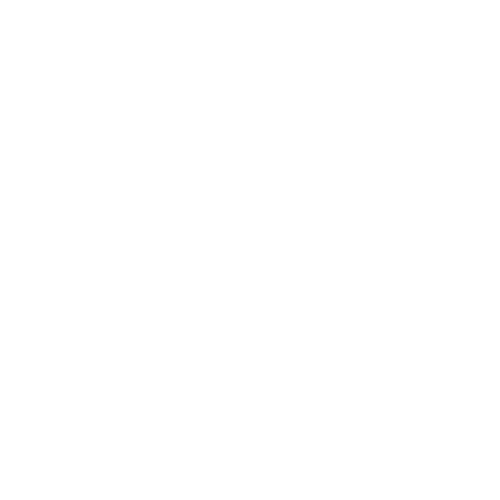 X (Twitter)